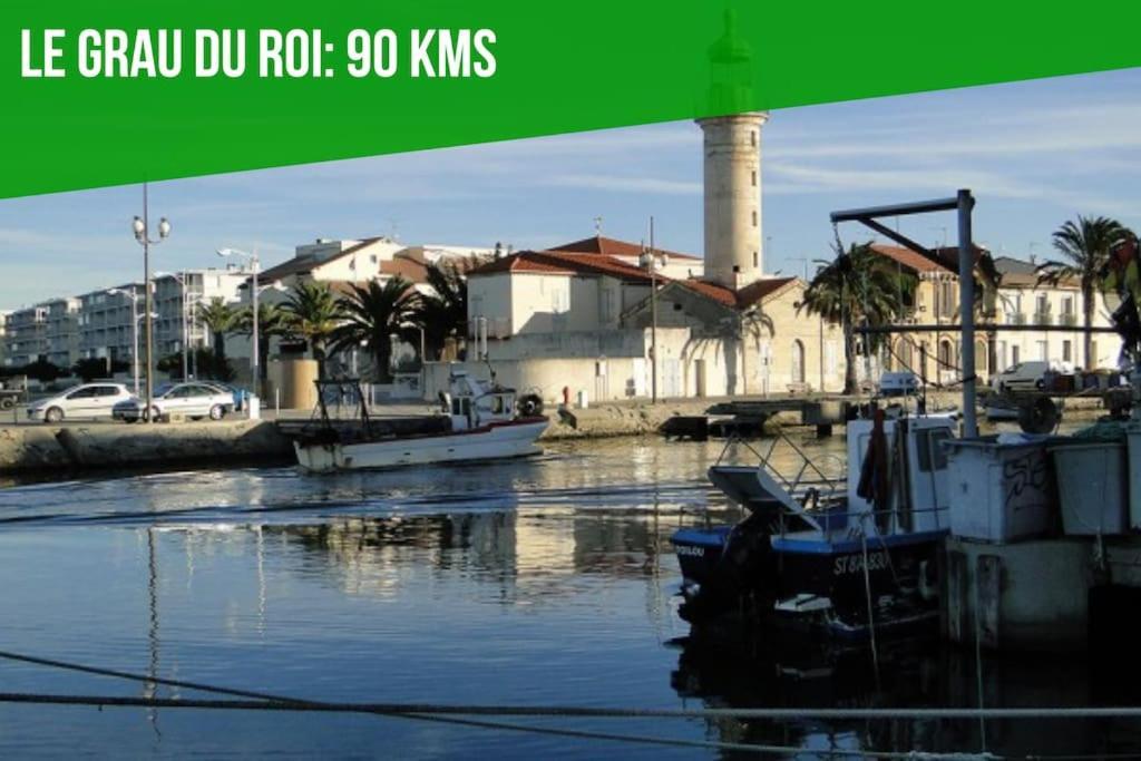 Le Saint-Laurent - Parking Gratuit - Terrasse - Wi-Fi أفينيون المظهر الخارجي الصورة
